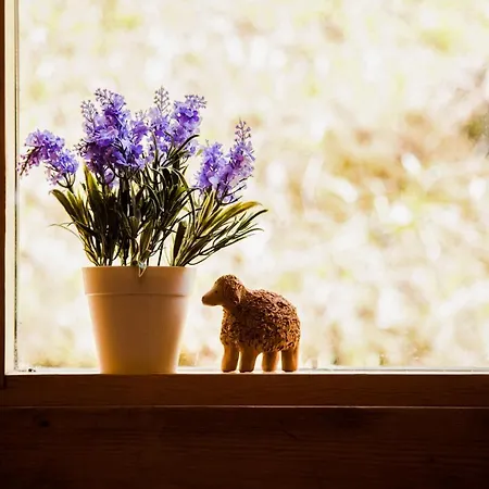 Kuelmamaee Puhkemaja Holiday home Otepaa