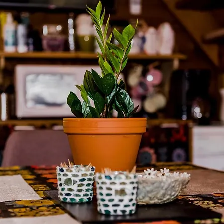 Kuelmamaee Puhkemaja Otepaa