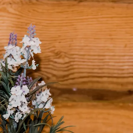 Kuelmamaee Puhkemaja Holiday home *