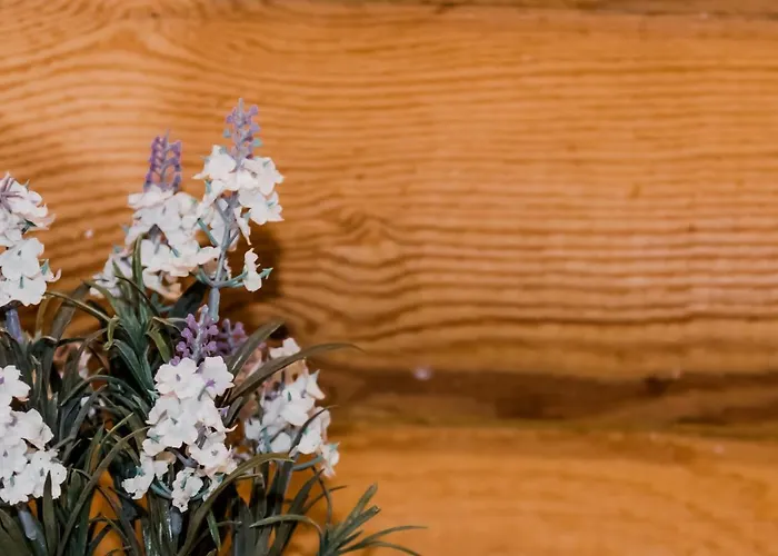 Kuelmamaee Puhkemaja Vakantiehuis *